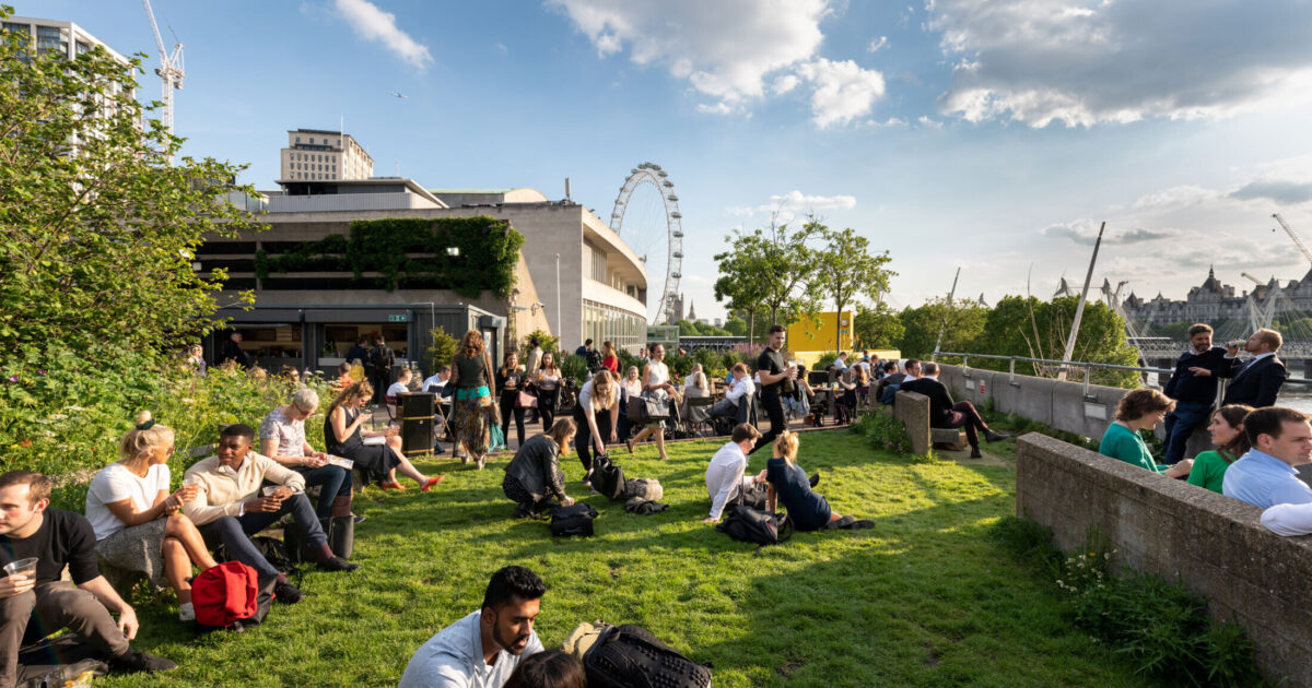 Queen Elizabeth Hall Roof Garden | See & Do | South Bank London