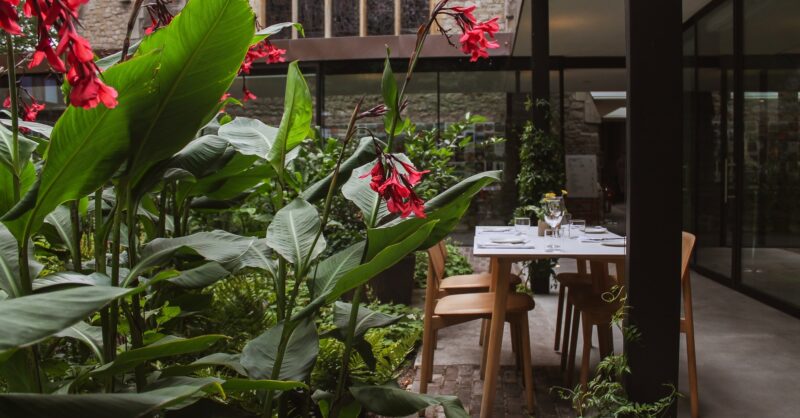 Garden-Cafe-at-garden-museum.