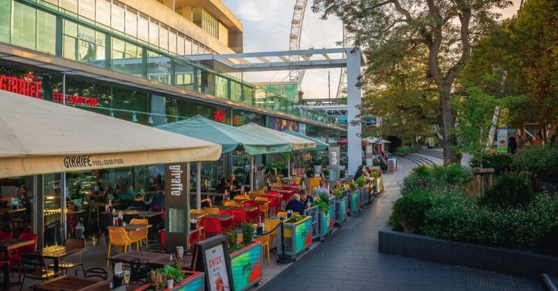 【レア】　 London giraffe Giraffe | London Zoo