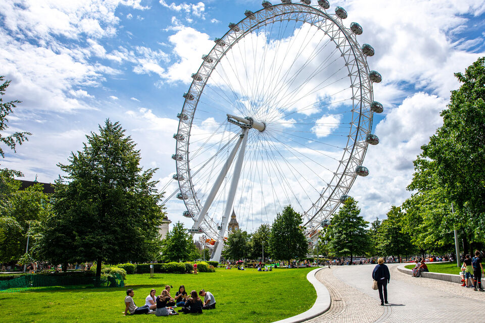 View of the London Eye in the summer with oak trees and a park in the foreground. A person is walking up a winding path through the park in the direction of the London Eye wheel