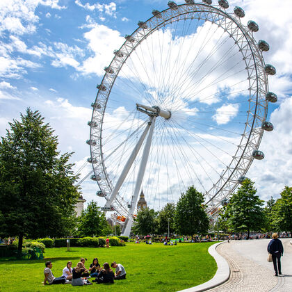 View of the London Eye in the summer with oak trees and a park in the foreground. A person is walking up a winding path through the park in the direction of the London Eye wheel