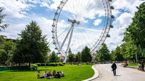 View of the London Eye in the summer with oak trees and a park in the foreground. A person is walking up a winding path through the park in the direction of the London Eye wheel