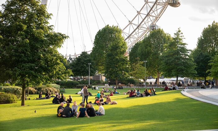 A view of the London Eye from Jubilee Gardens on a sunny day