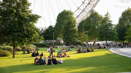 A view of the London Eye from Jubilee Gardens on a sunny day