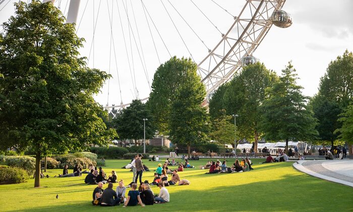A view of the London Eye from Jubilee Gardens on a sunny day