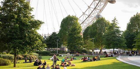 A view of the London Eye from Jubilee Gardens on a sunny day
