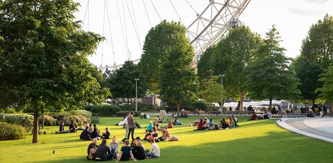 A view of the London Eye from Jubilee Gardens on a sunny day