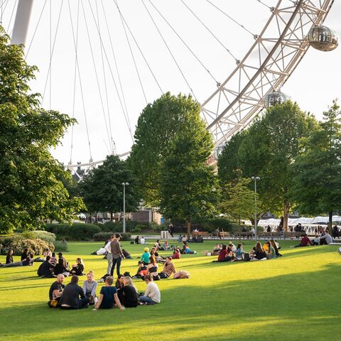 A view of the London Eye from Jubilee Gardens on a sunny day