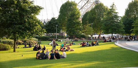 A view of the London Eye from Jubilee Gardens on a sunny day