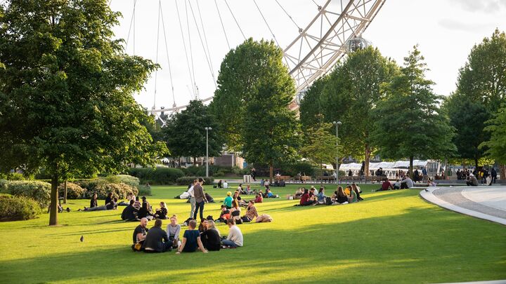 A view of the London Eye from Jubilee Gardens on a sunny day