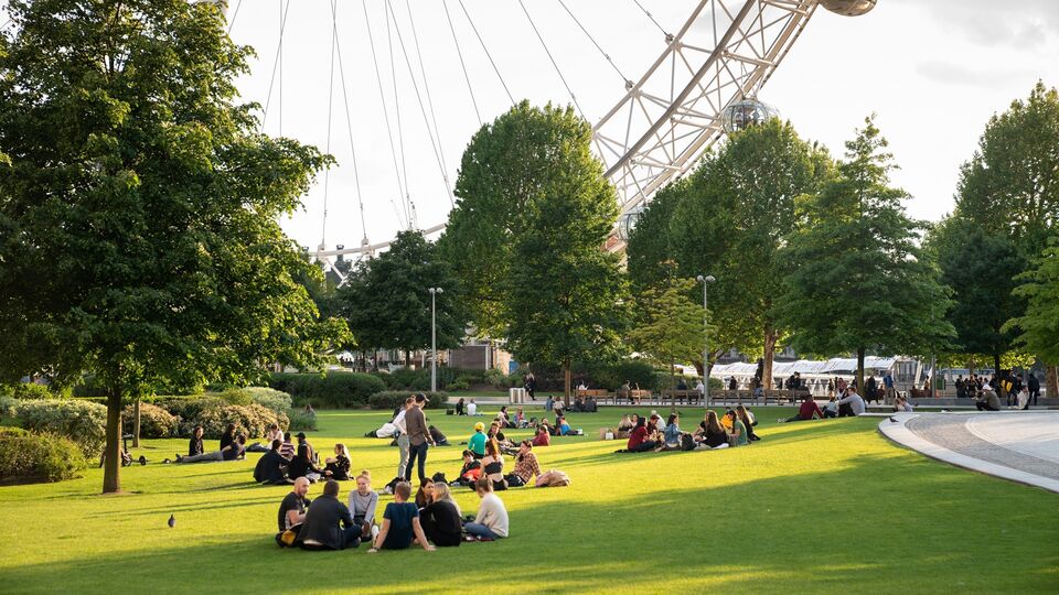 A view of the London Eye from Jubilee Gardens on a sunny day