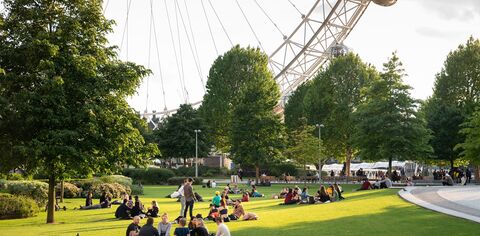 A view of the London Eye from Jubilee Gardens on a sunny day