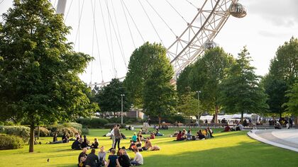 A view of the London Eye from Jubilee Gardens on a sunny day