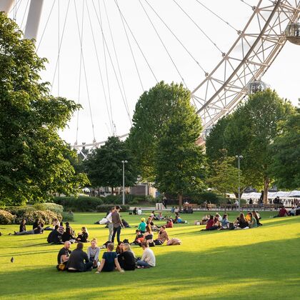 A view of the London Eye from Jubilee Gardens on a sunny day
