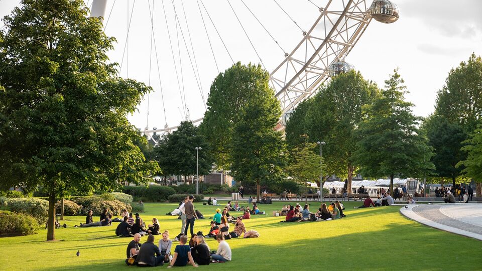 A view of the London Eye from Jubilee Gardens on a sunny day