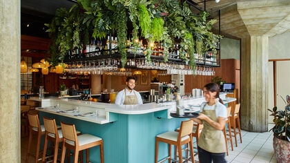 A blue bar counter with plants hanging above it. A waiter is behind the counter smiling and in front a waitress in an apron walks past with a tray