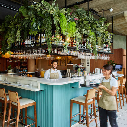 A blue bar counter with plants hanging above it. A waiter is behind the counter smiling and in front a waitress in an apron walks past with a tray