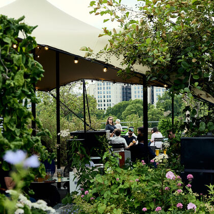 Queen Elizabeth Hall Roof Garden, with people sitting down on tables and chairs surrounded by lots of plants and flowers.