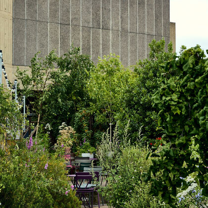 Tables and chairs in the middle of lots of plants and flowers, in front of a concrete building.