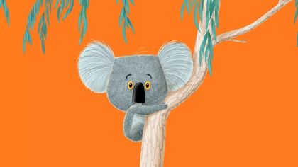 Cartoon picture of a koala on an orange background